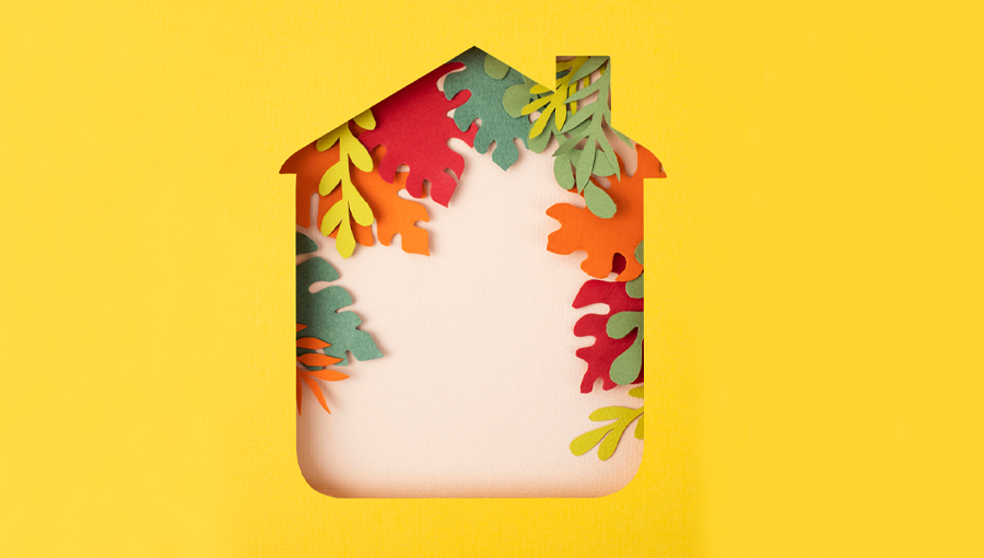 Fall into Style - Market Dwellings’ Fall Collection
